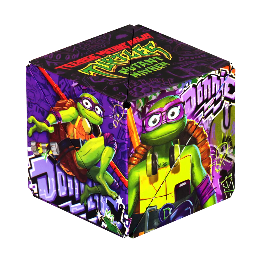 TMNT Series - Motion Play