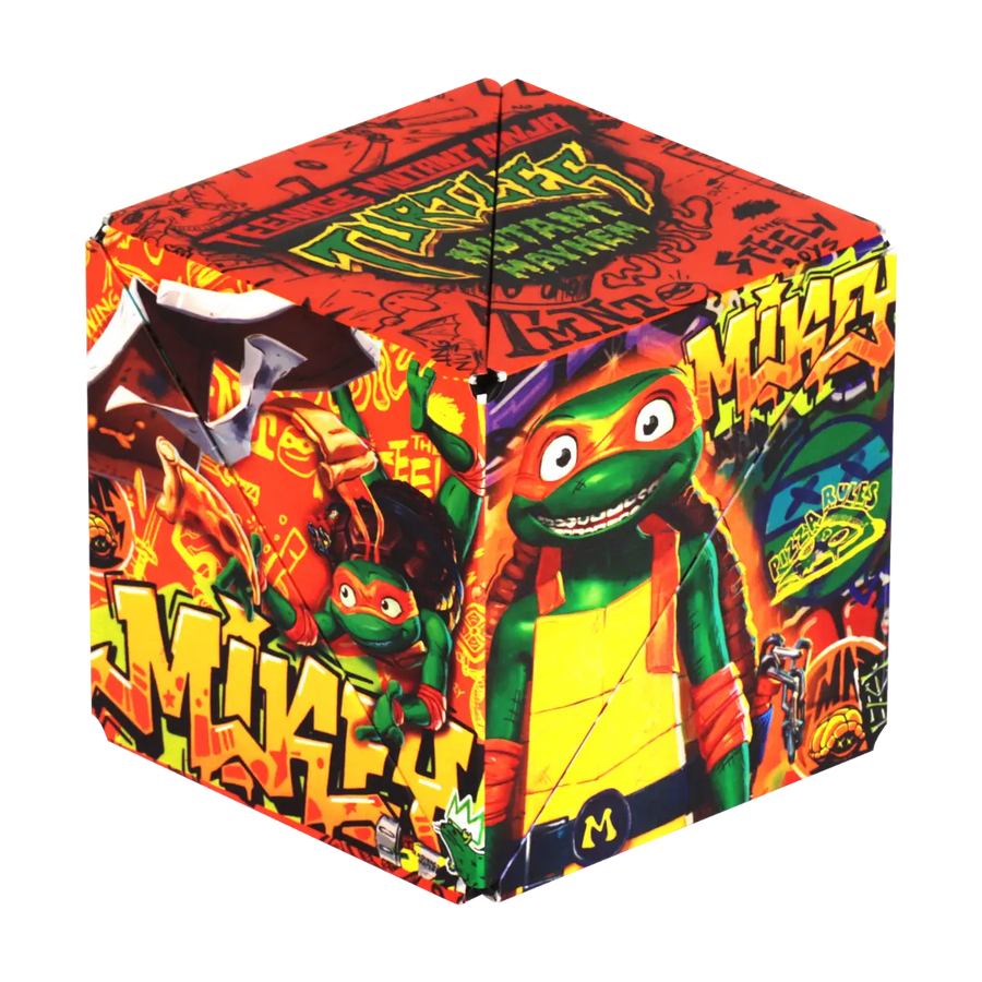 TMNT Series - Motion Play